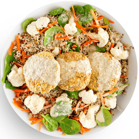 Springly 18 Meals – Sprinly