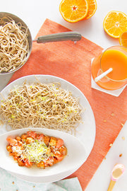 Grapefruit Citrus Tofu & Tempeh with Soba Noodles-wide view